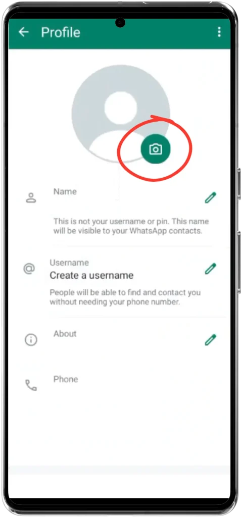 green camera icon