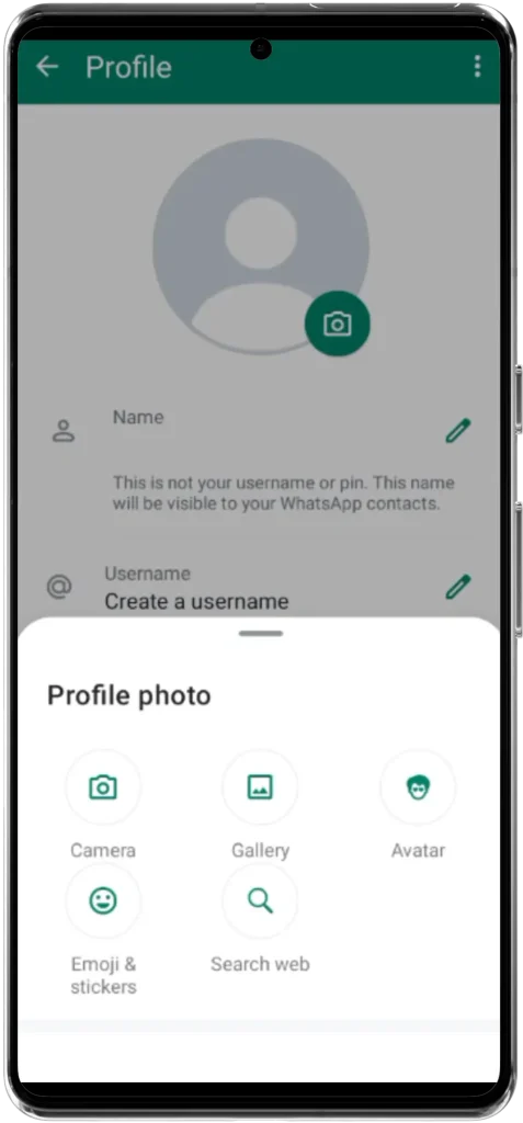 options to select profile picture